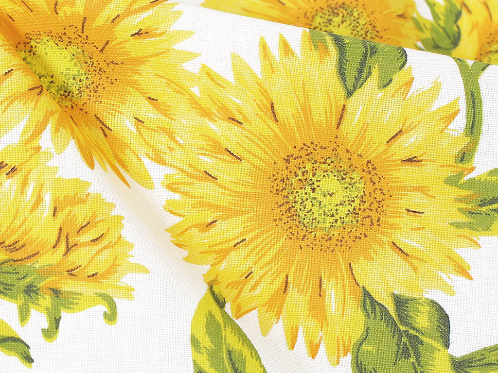 Bavlněné plátno - slunečnice