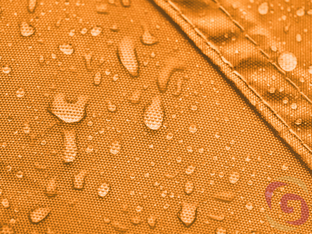 Detail meruňkové slunečníkoviny